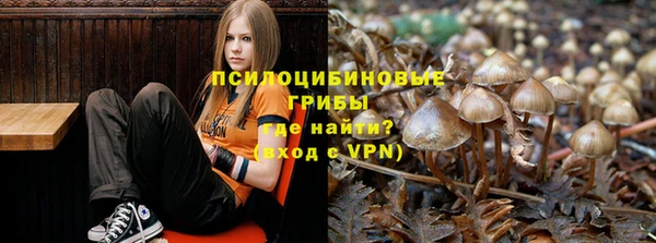 MESCALINE Бородино
