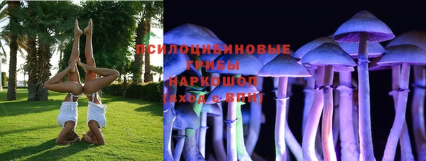 MESCALINE Бородино